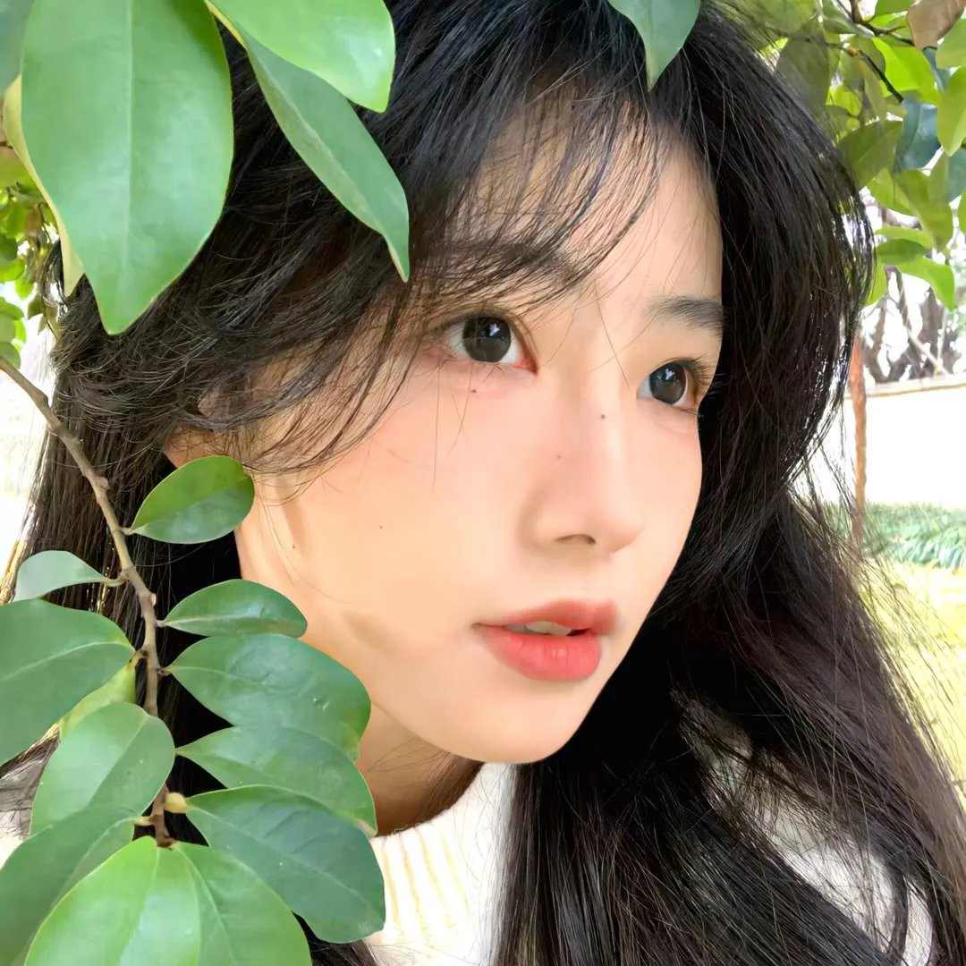 瓦尼塔斯的笔记