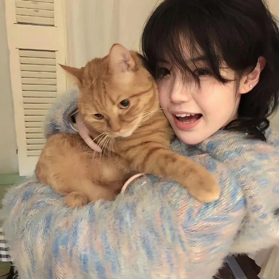 救起池中的猎豹